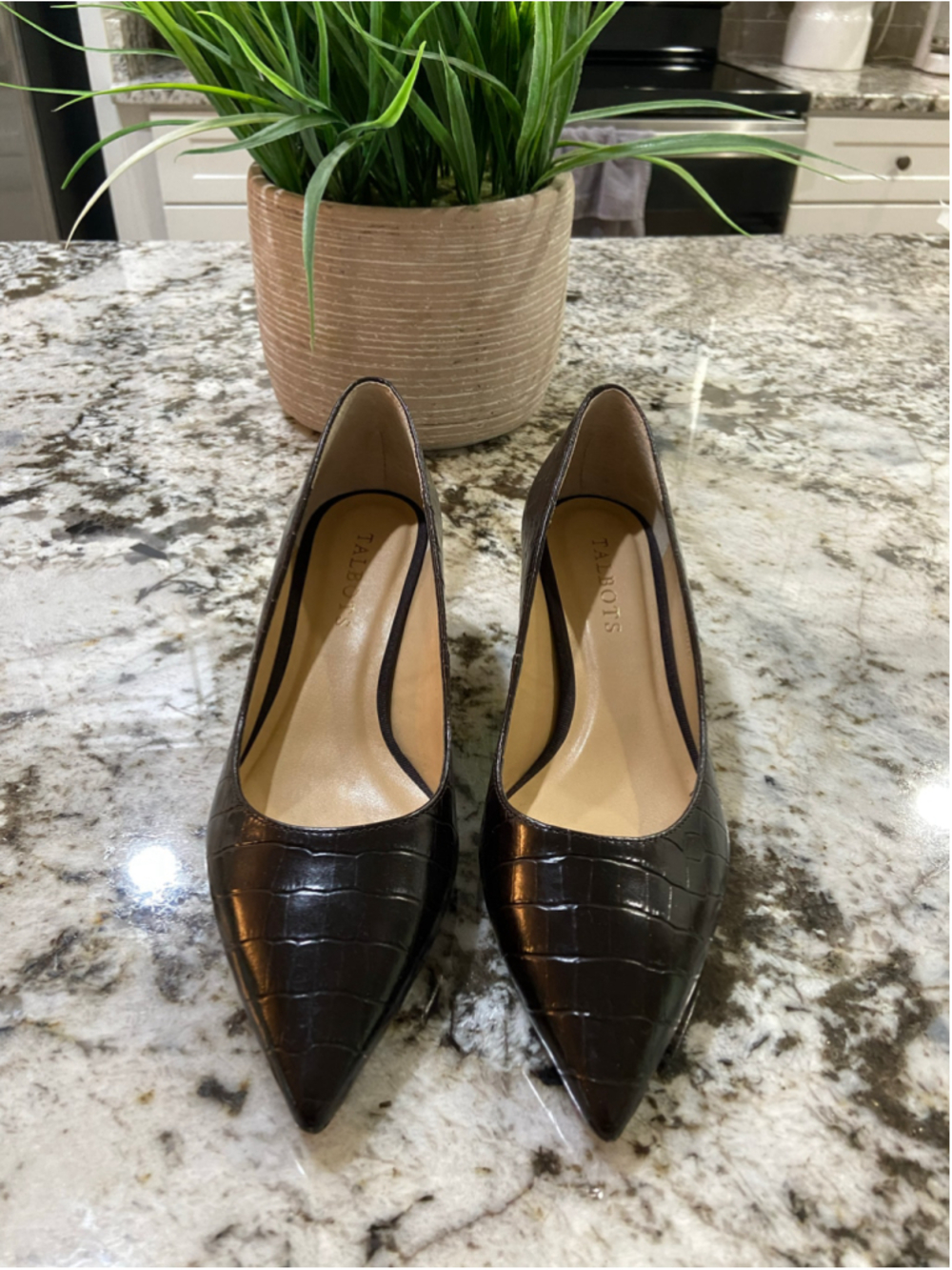 Talbots kitten heel pumps , size 6 1/2 M